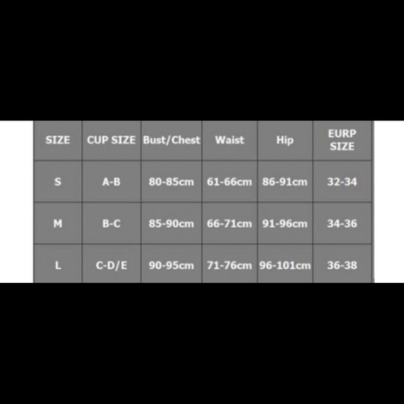 NWT Sexy Animal Print Bikini - Picture 2 of 2